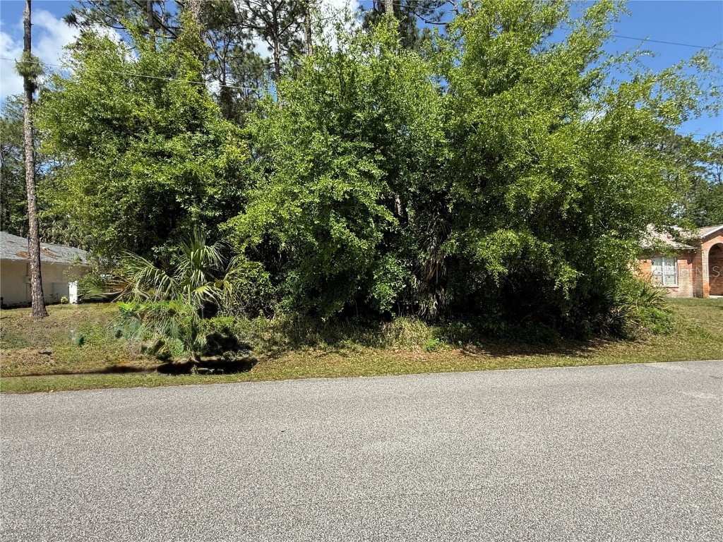 19 Wasserman Drive Palm Coast FL 32164 FC308873 image4