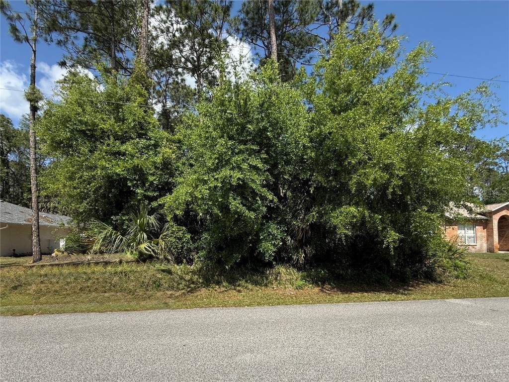 19 Wasserman Drive Palm Coast FL 32164 FC308873 image6