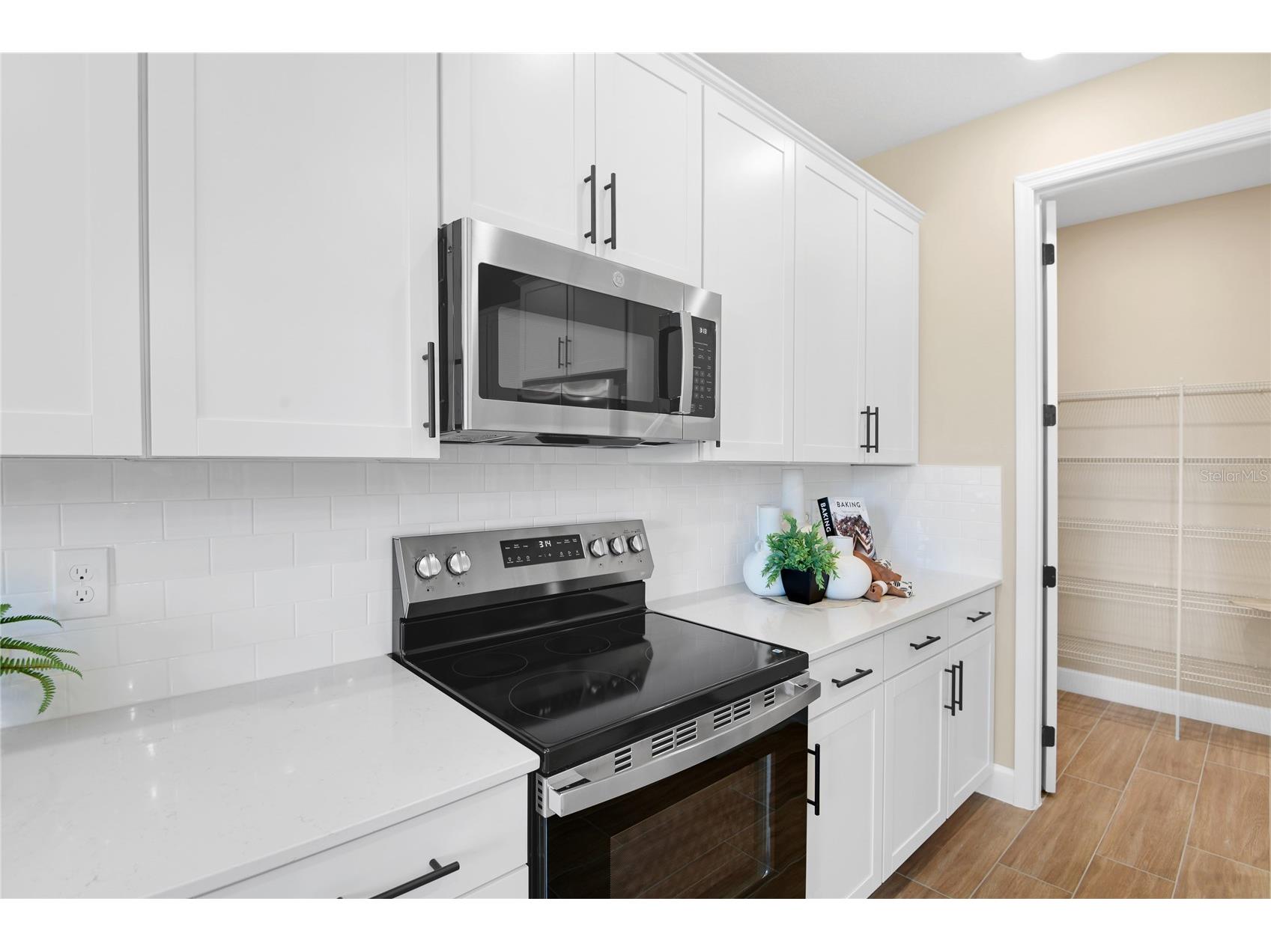 190 Blue Star Court Tavares FL 32778 S5149766 image10