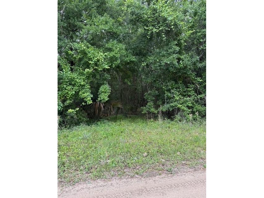 190 Catherine Street Bunnell FL 32110 FC318085 image1