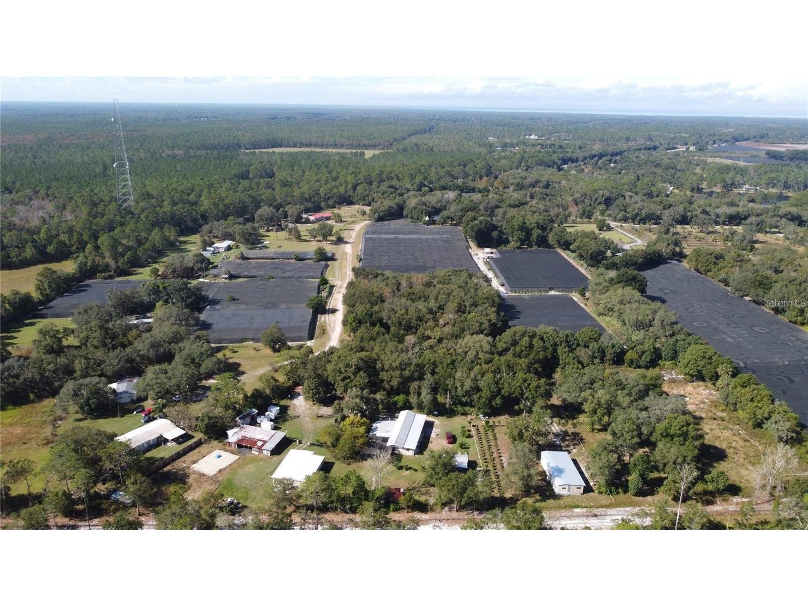 190 Dickie Lane Pierson FL 32180 S5129317 image37