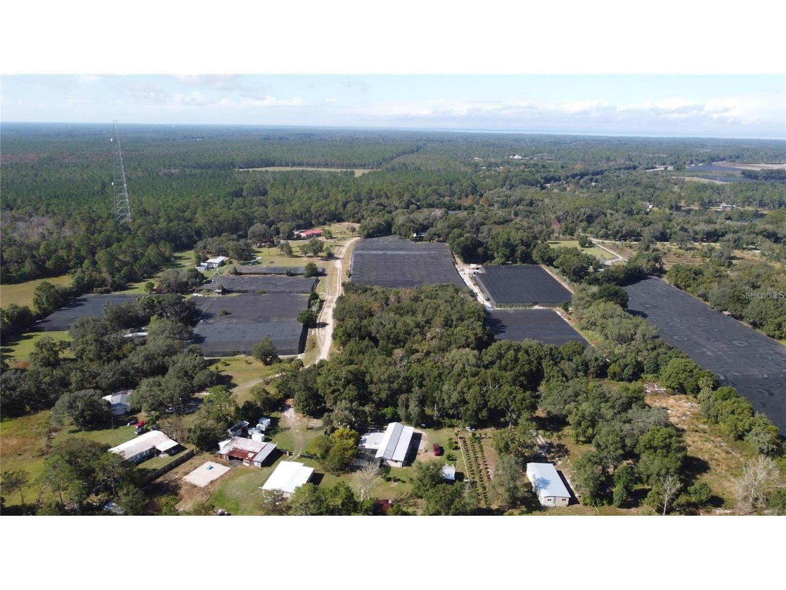 190 Dickie Lane Pierson FL 32180 S5129317 image7