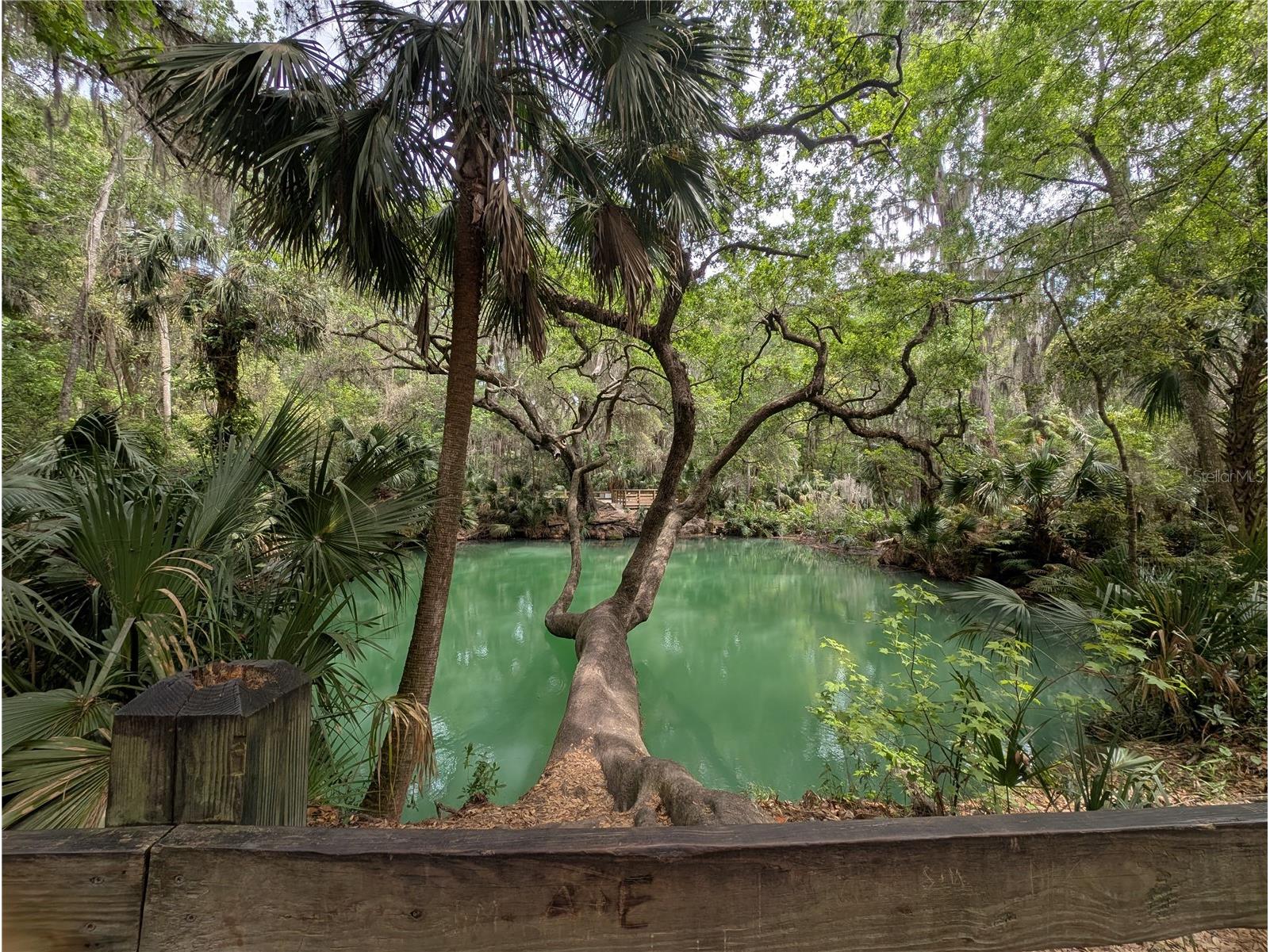 190 Hickory Woods Court #15C Deltona FL 32725 V4941706 image32