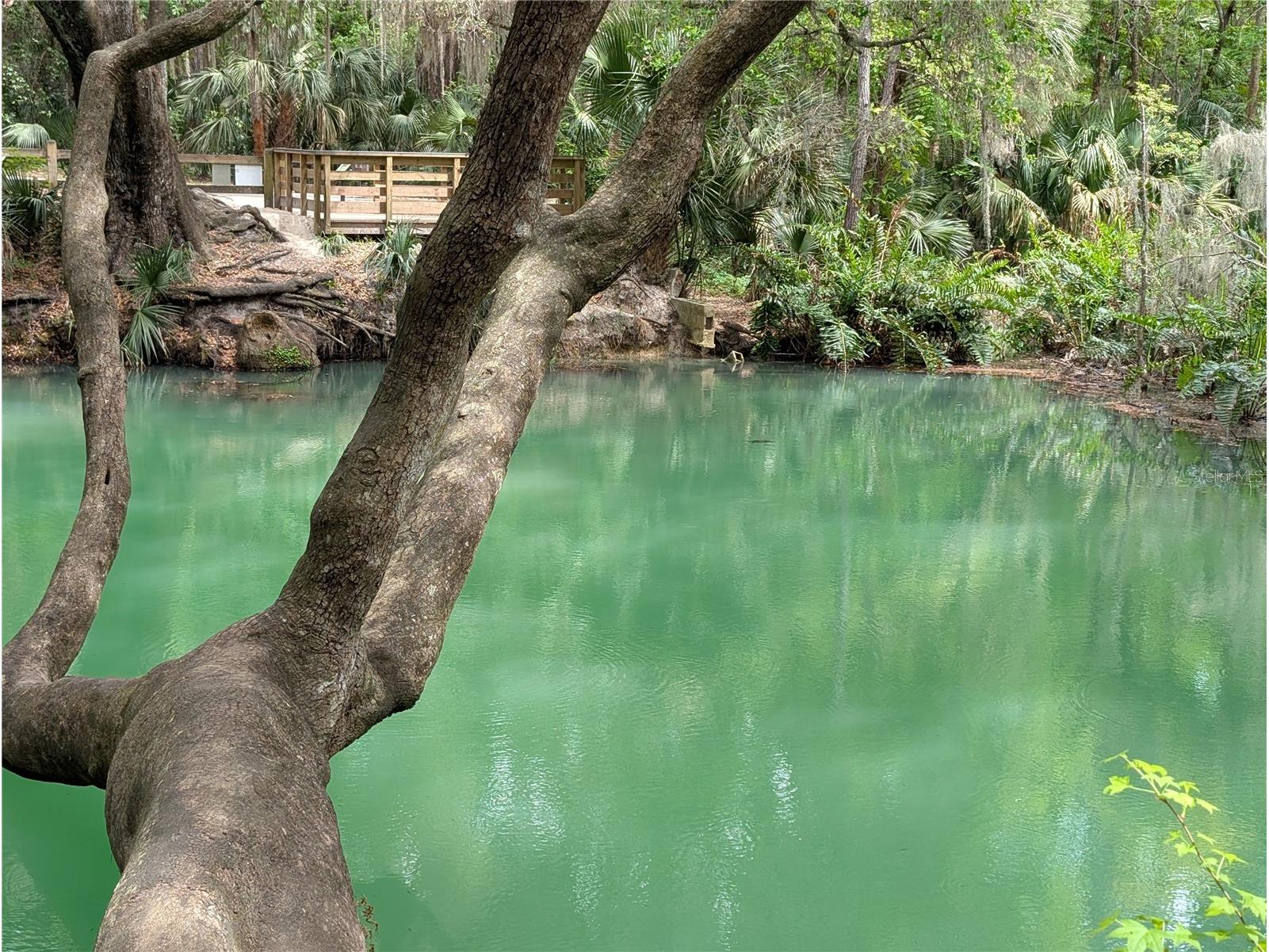 190 Hickory Woods Court #15C Deltona FL 32725 V4941706 image33