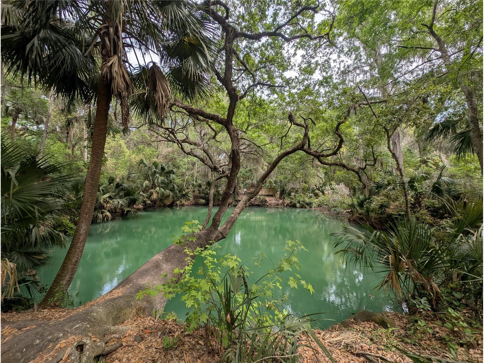 190 Hickory Woods Court #15C Deltona FL 32725 V4941706 image34