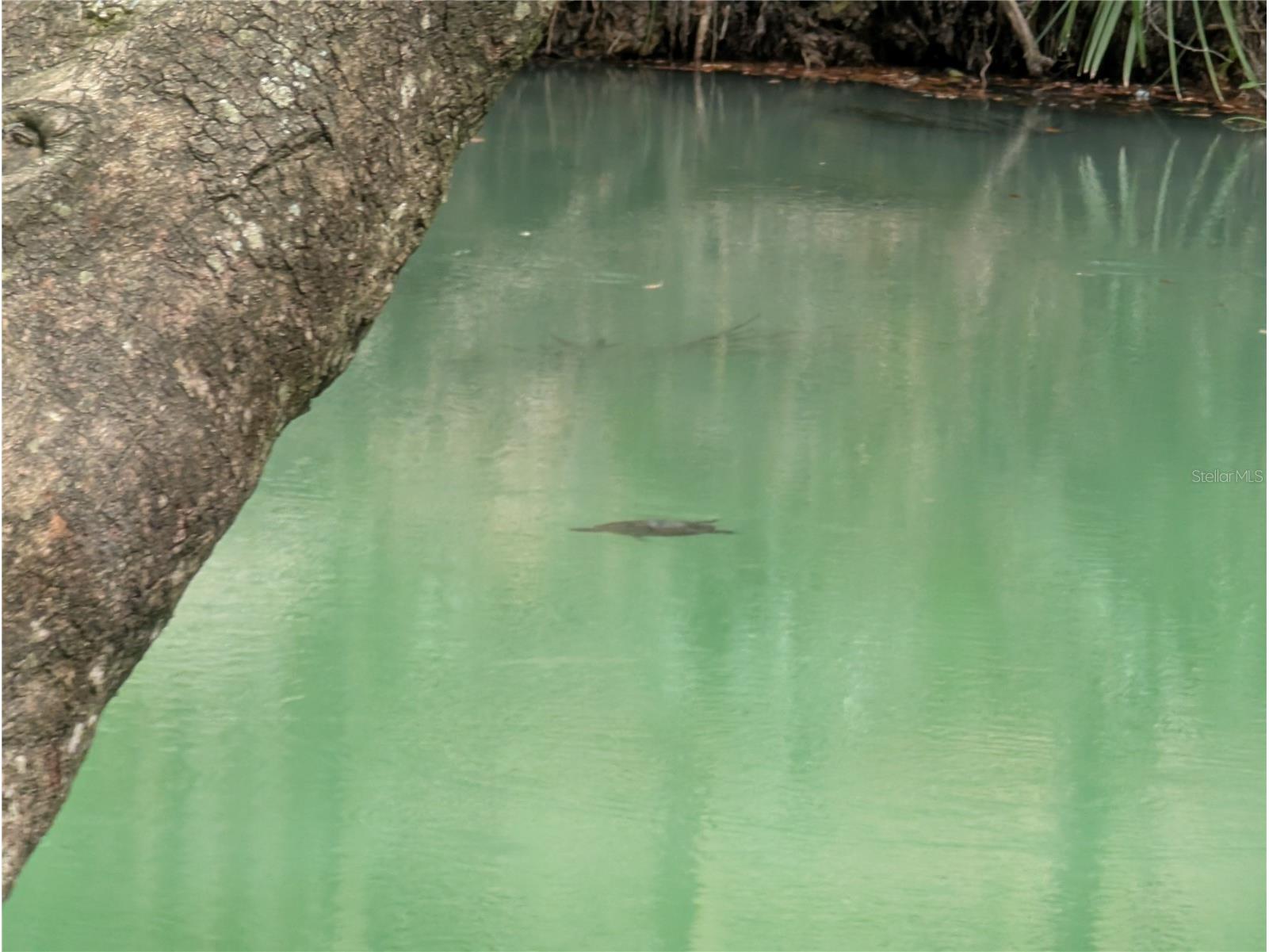 190 Hickory Woods Court #15C Deltona FL 32725 V4941706 image35