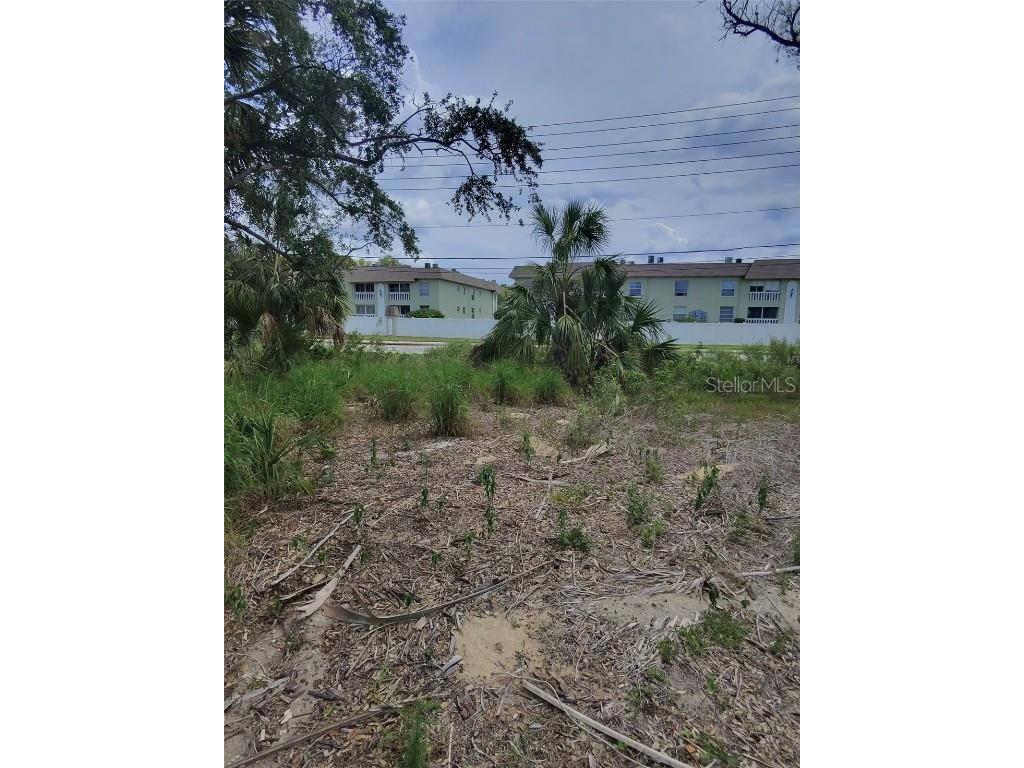 190 Meres Boulevard Tarpon Springs FL 34689 TB8393134 image3