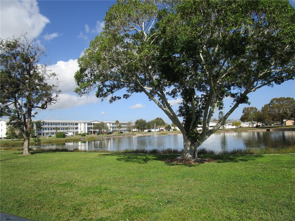 1900 59th Avenue N #115 Saint Petersburg FL 33714 U8189226 image1