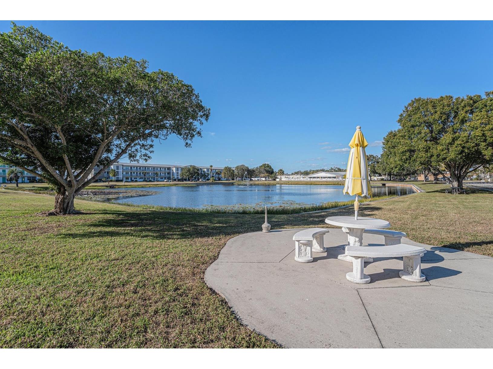 1900 59th Avenue N #210 Saint Petersburg FL 33714 TB8458996 image13
