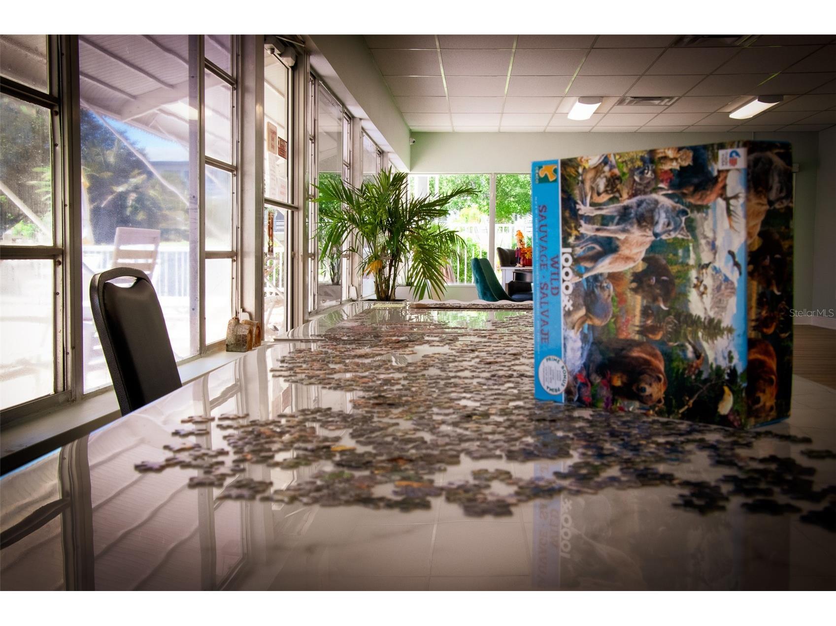 1900 59th Avenue N #305 Saint Petersburg FL 33714 - UATAN TB8463678 image34