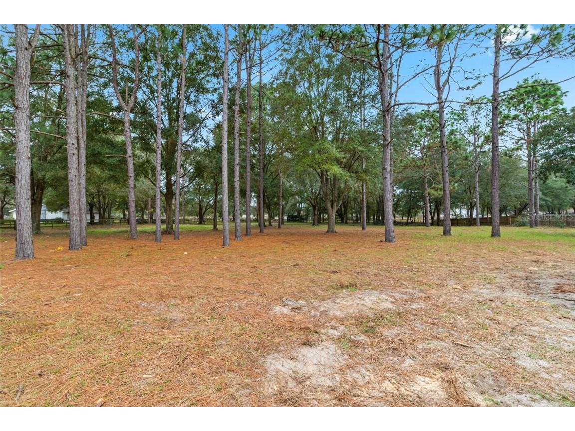 1900 NW 73rd Terrace Ocala FL 34482 OM638344 image32