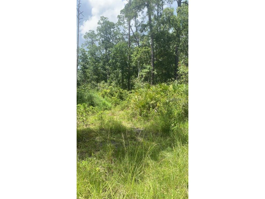 1900 Old River Trail Chuluota FL 32766 O6058150 image1