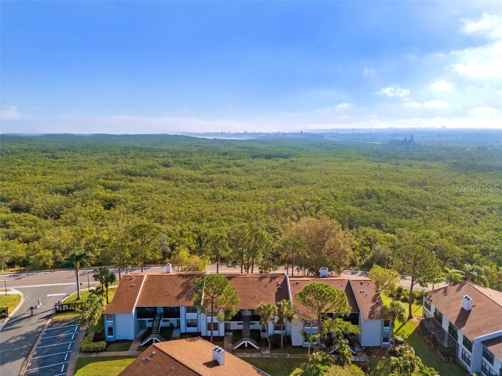 1900 Pelican Landing Boulevard #1011 Clearwater FL 33762 TB8323123 image25