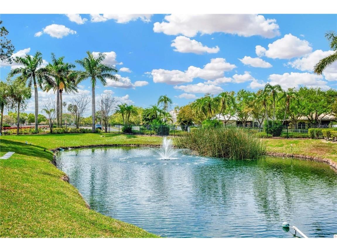 1900 Pelican Landing Boulevard #1011 Clearwater FL 33762 TB8323123 image31