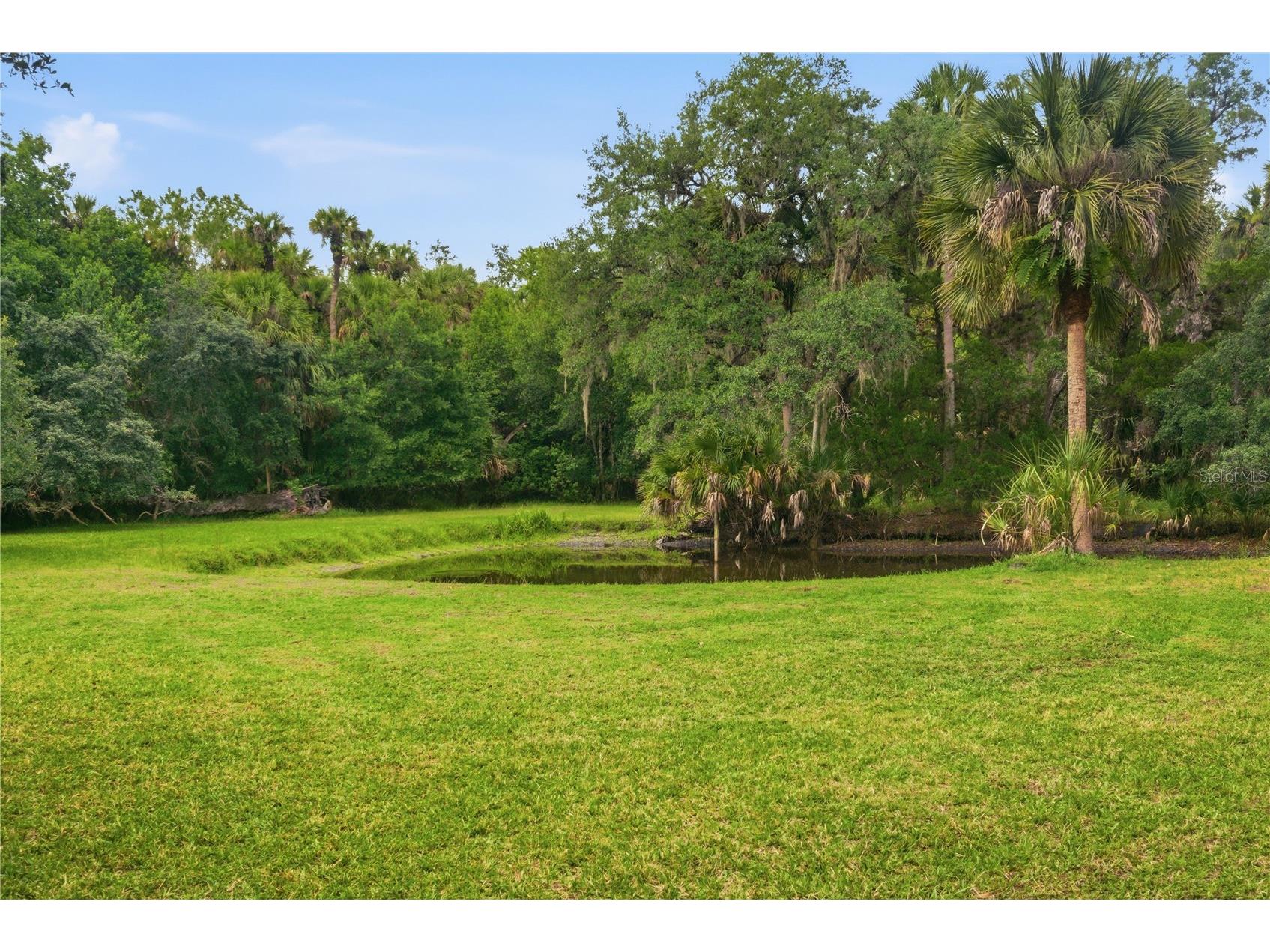 1900 Retreat Road Geneva FL 32732 V4949628 image15