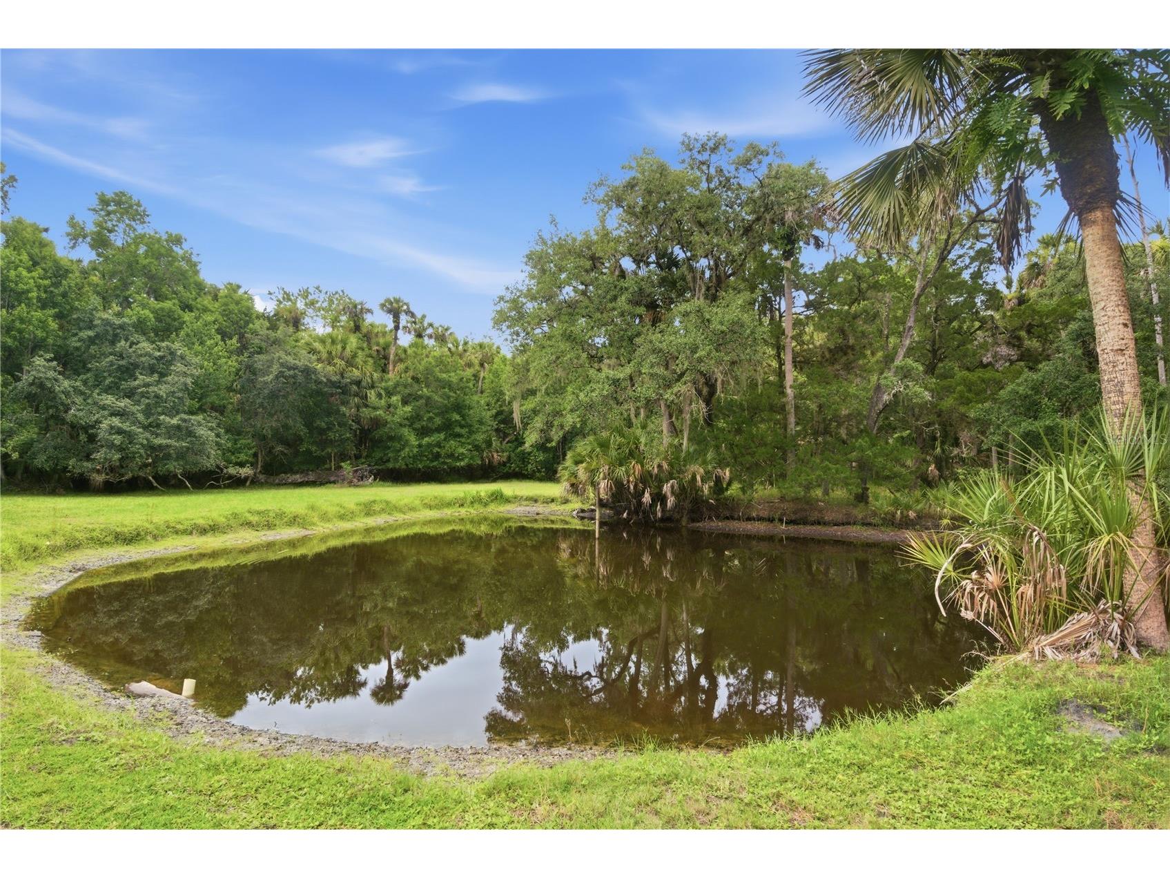 1900 Retreat Road Geneva FL 32732 V4949628 image17