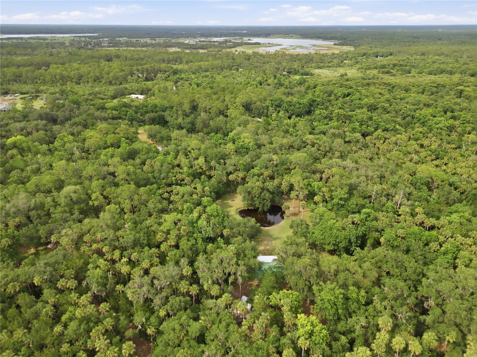 1900 Retreat Road Geneva FL 32732 V4949628 image21