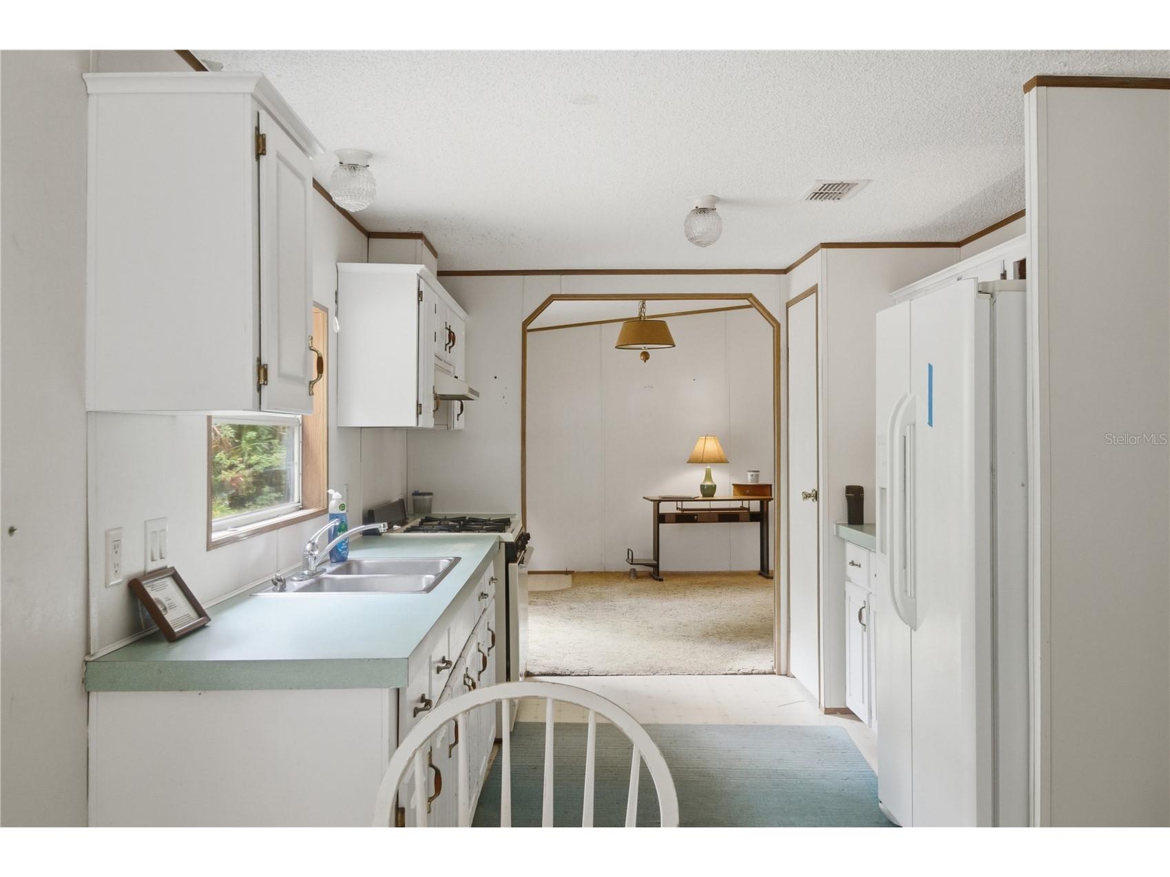 1900 Retreat Road Geneva FL 32732 V4949628 image28