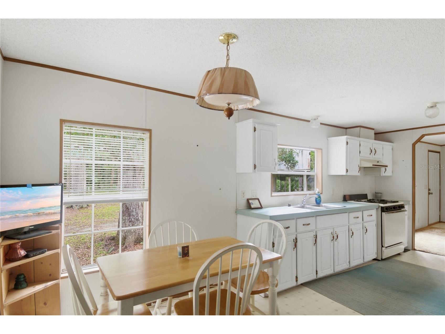 1900 Retreat Road Geneva FL 32732 V4949628 image40