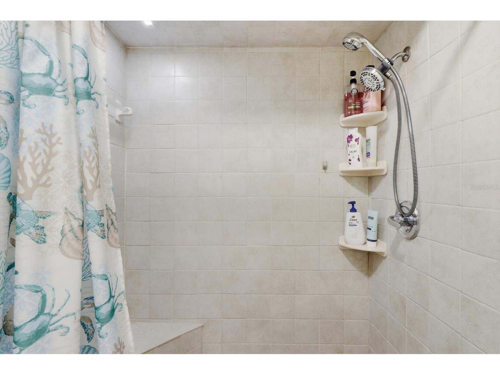 1900 W Alhambra Drive Citrus Springs FL 34434 TB8530946 image25