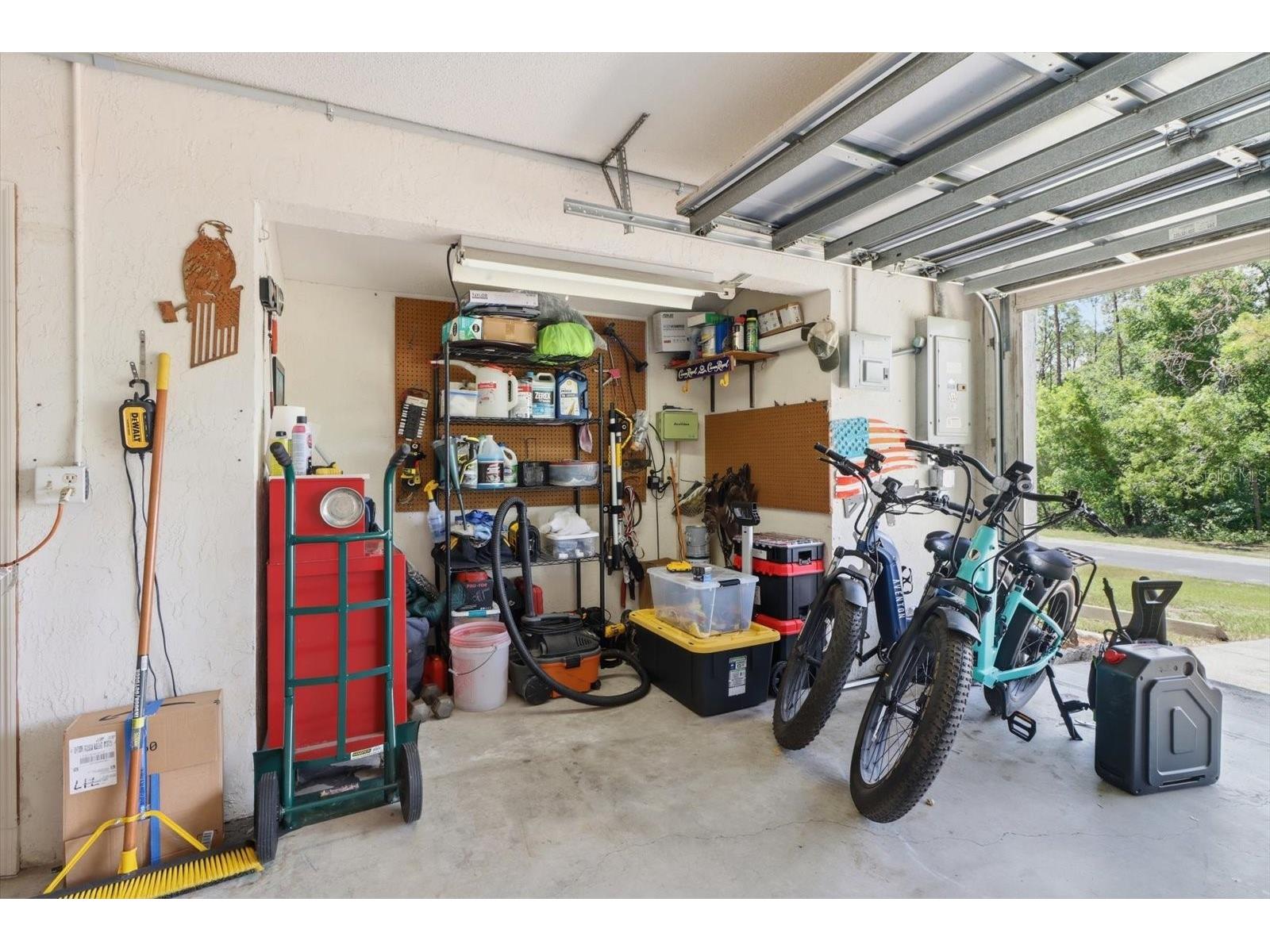 1900 W Alhambra Drive Citrus Springs FL 34434 TB8530946 image28