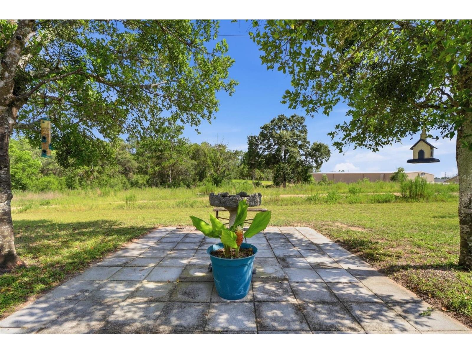 1900 W Alhambra Drive Citrus Springs FL 34434 TB8530946 image39