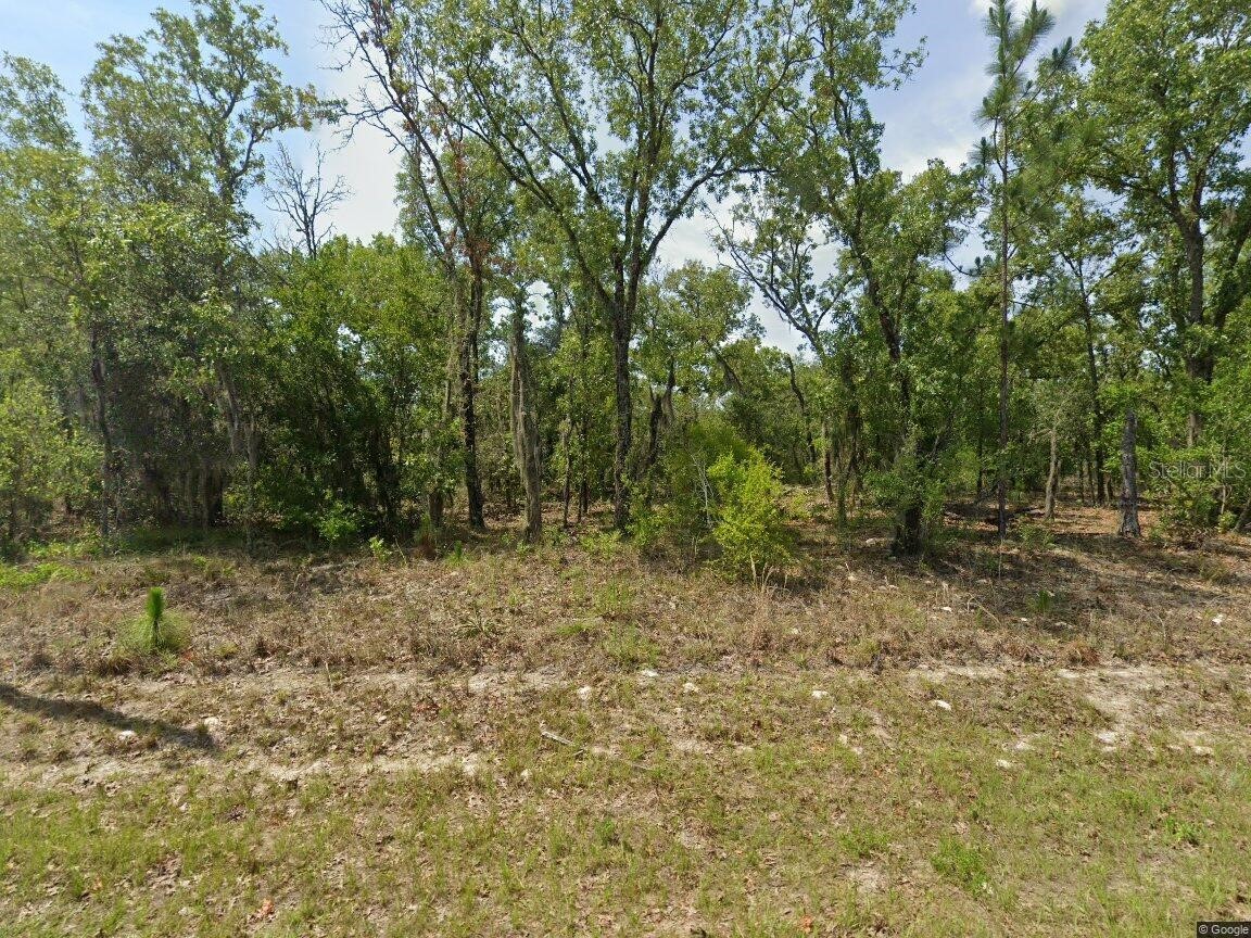 1900 W Magenta Drive Dunnellon FL 34434 OM724594 image1
