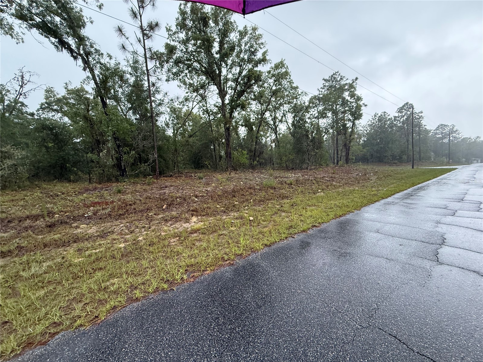 1900 W Magenta Drive Dunnellon FL 34434 OM724594 image2