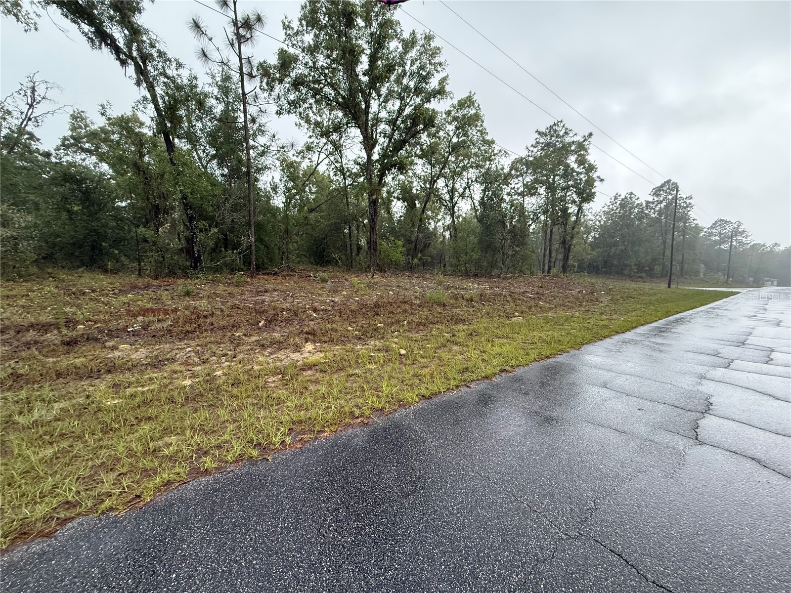 1900 W Magenta Drive Dunnellon FL 34434 OM724594 image3