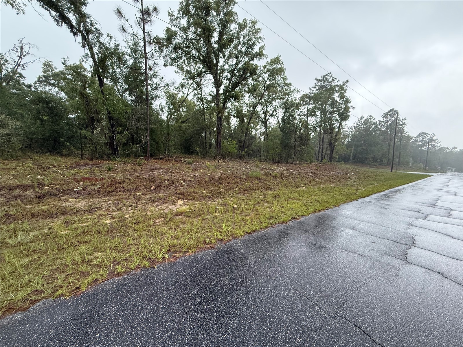 1900 W Magenta Drive Dunnellon FL 34434 OM724594 image4