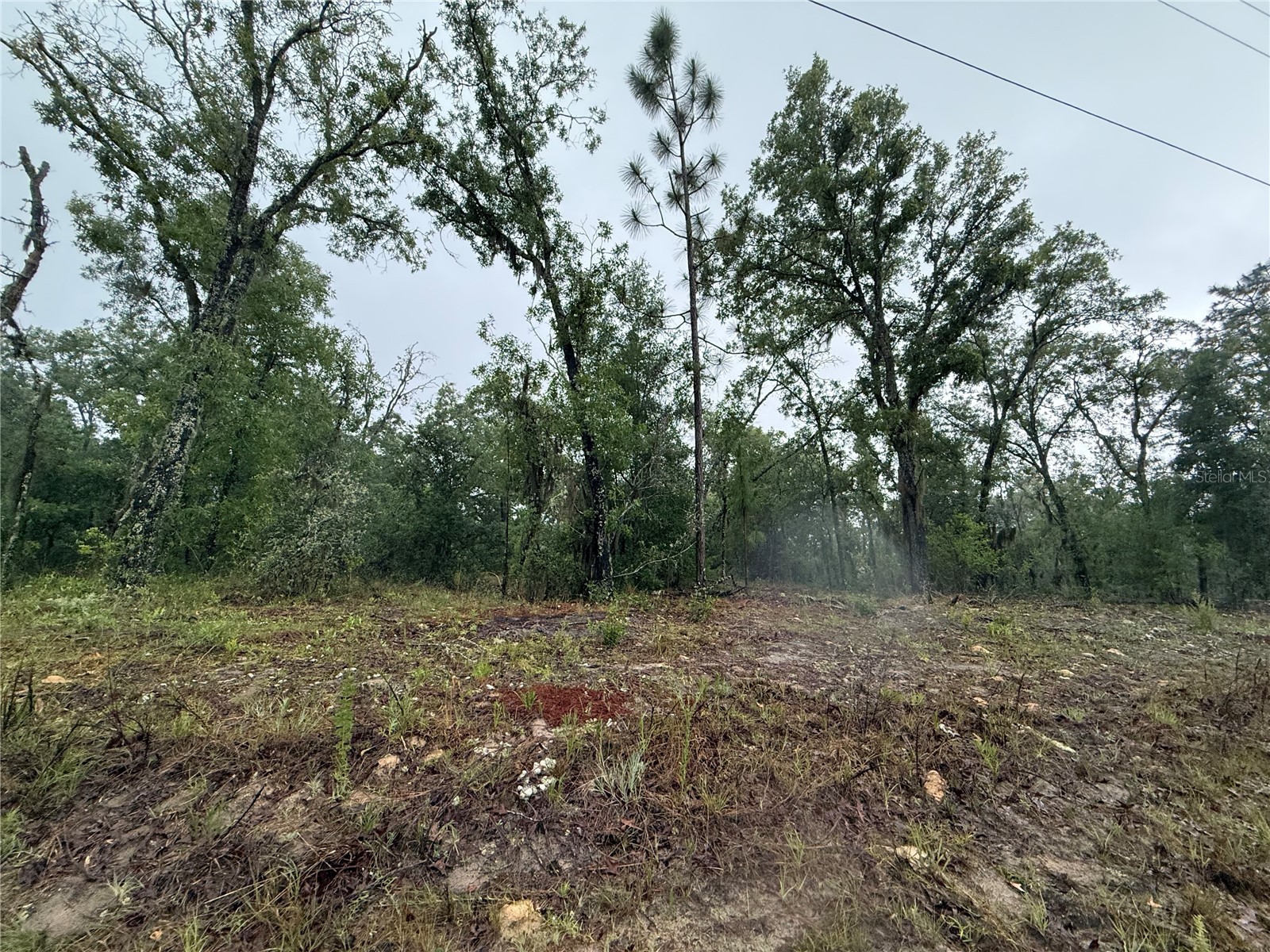 1900 W Magenta Drive Dunnellon FL 34434 OM724594 image5