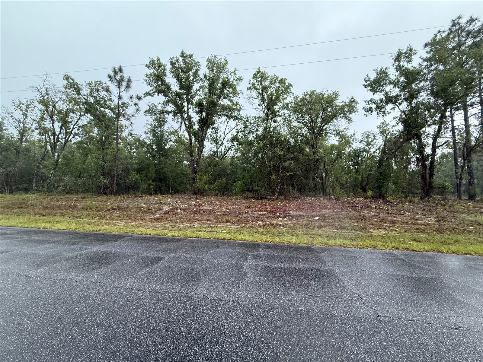 1900 W Magenta Drive Dunnellon FL 34434 OM724594 image6
