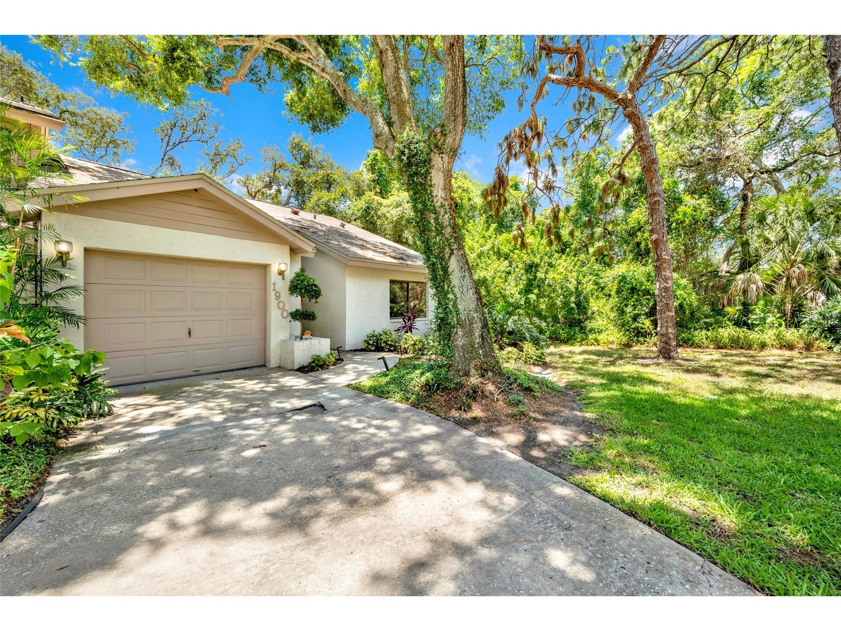 1900 Whispering Way Tarpon Springs FL 34689 TB8519680 image3
