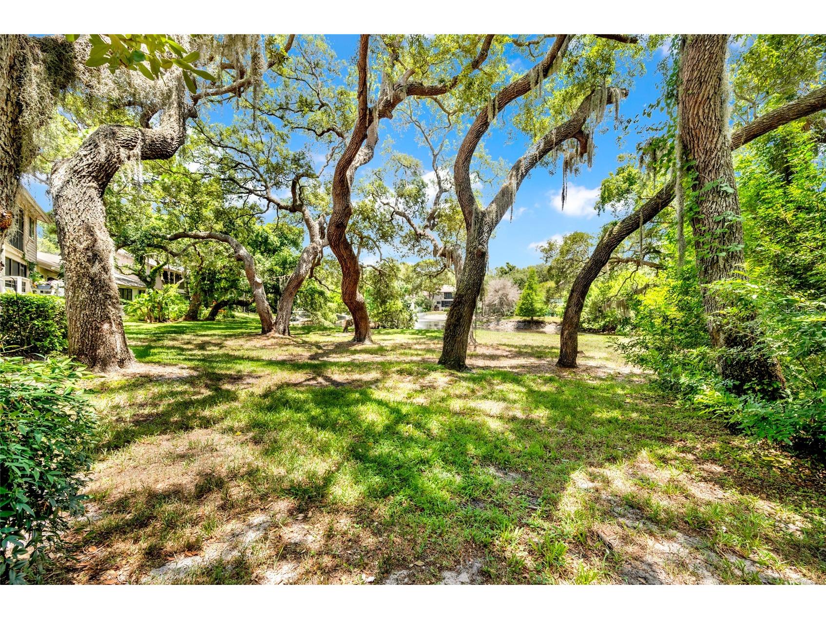 1900 Whispering Way Tarpon Springs FL 34689 TB8519680 image31