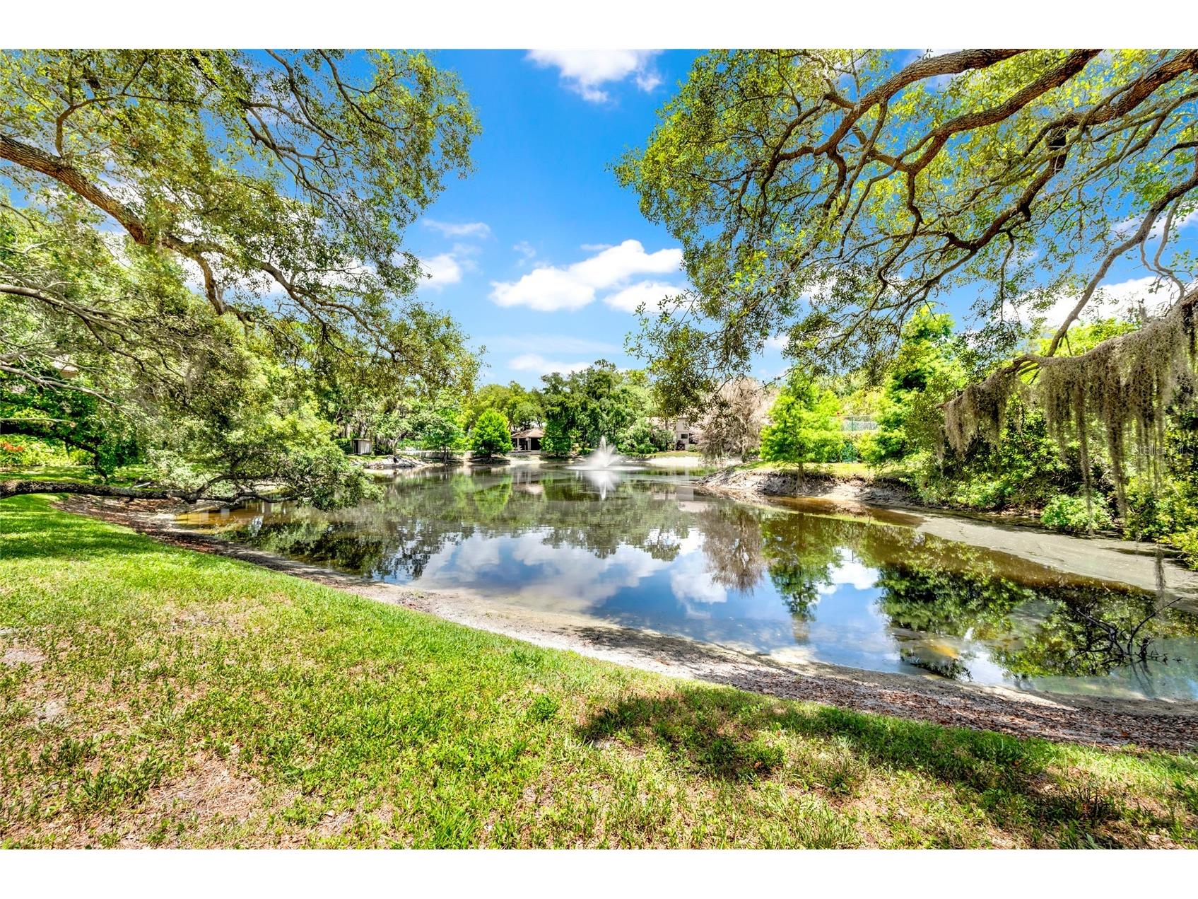 1900 Whispering Way Tarpon Springs FL 34689 TB8519680 image32
