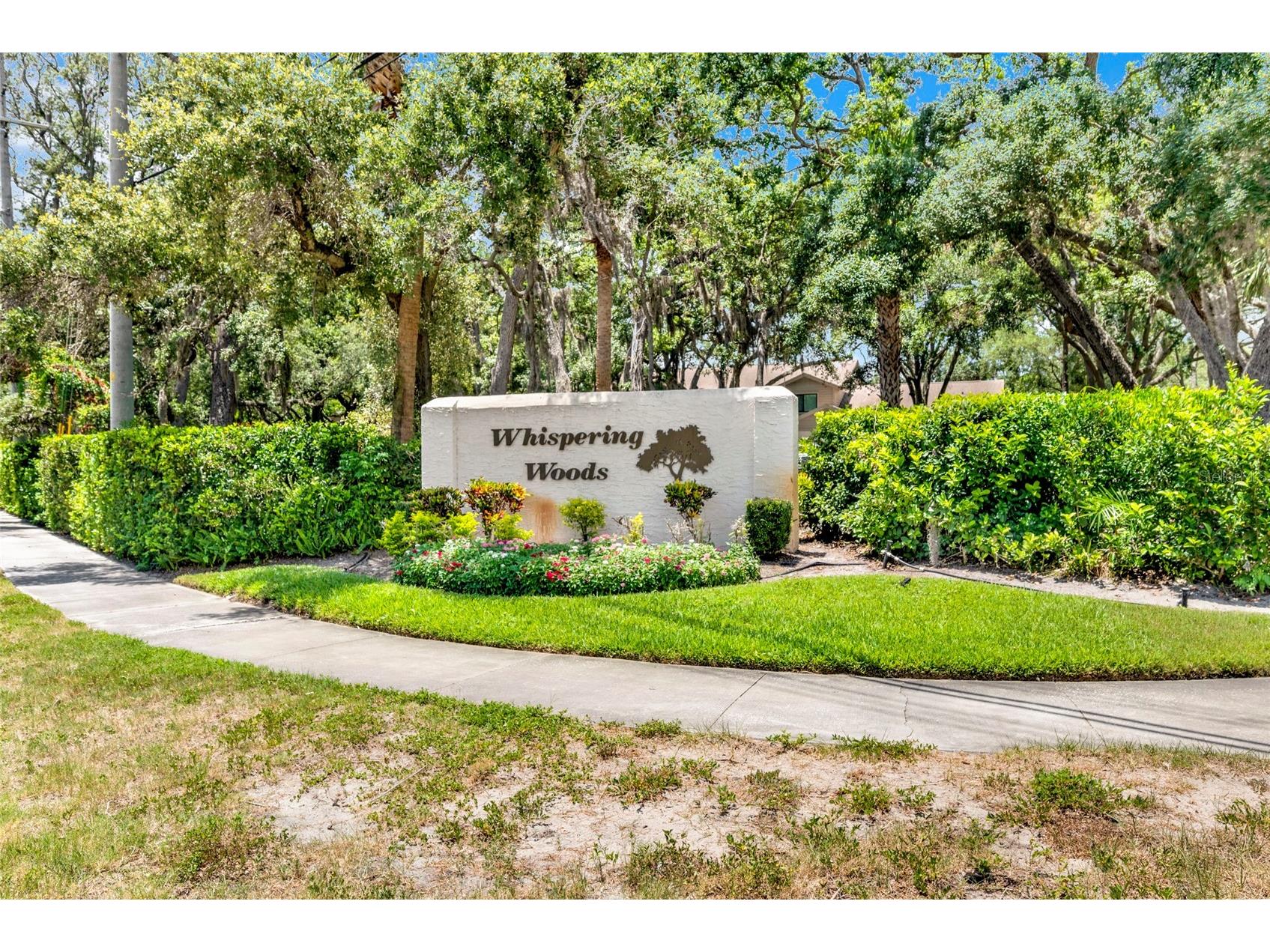 1900 Whispering Way Tarpon Springs FL 34689 TB8519680 image34