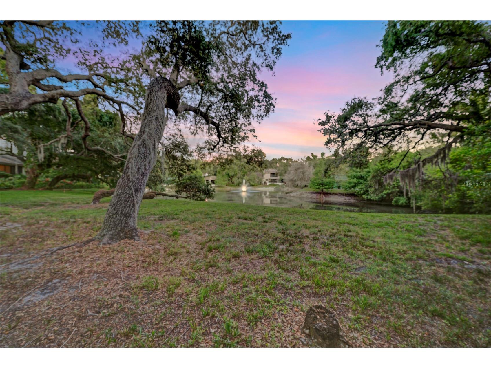 1900 Whispering Way Tarpon Springs FL 34689 TB8519680 image36