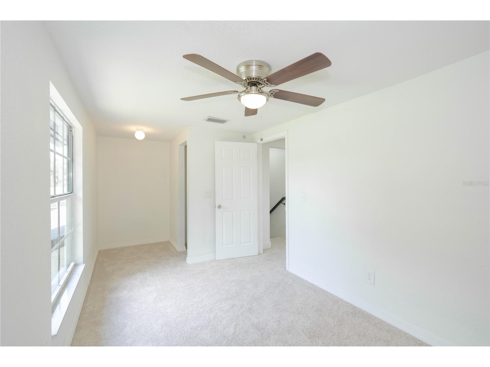 19003 Cedar Lane Lutz FL 33548 - Wilson TB8397548 image29