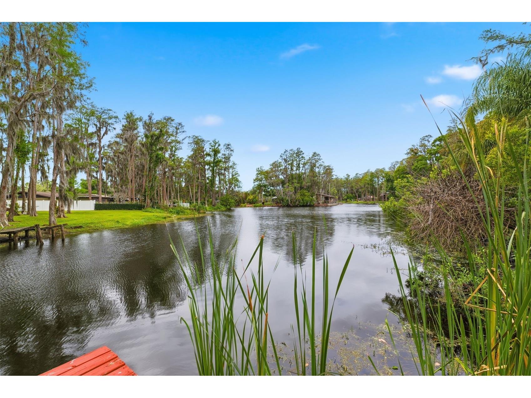 19003 Cedar Lane Lutz FL 33548 - LAKE THOMAS W7884876 image28