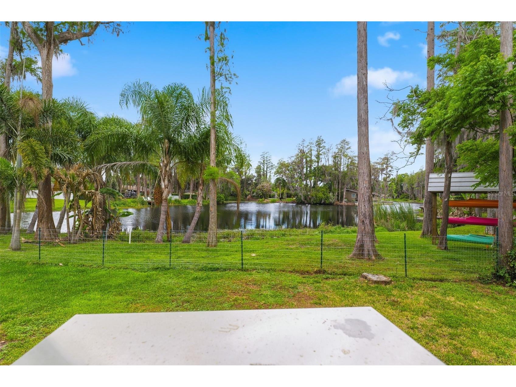 19003 Cedar Lane Lutz FL 33548 - LAKE THOMAS W7884876 image68