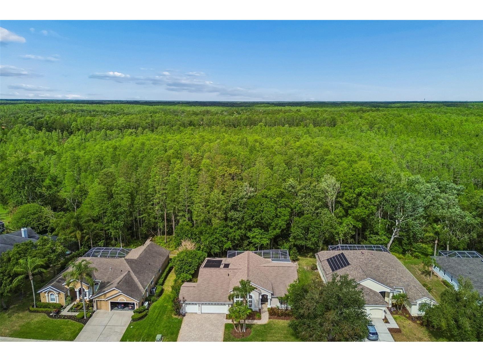 19004 Saint Laurent Drive Lutz FL 33558 TB8498605 image10