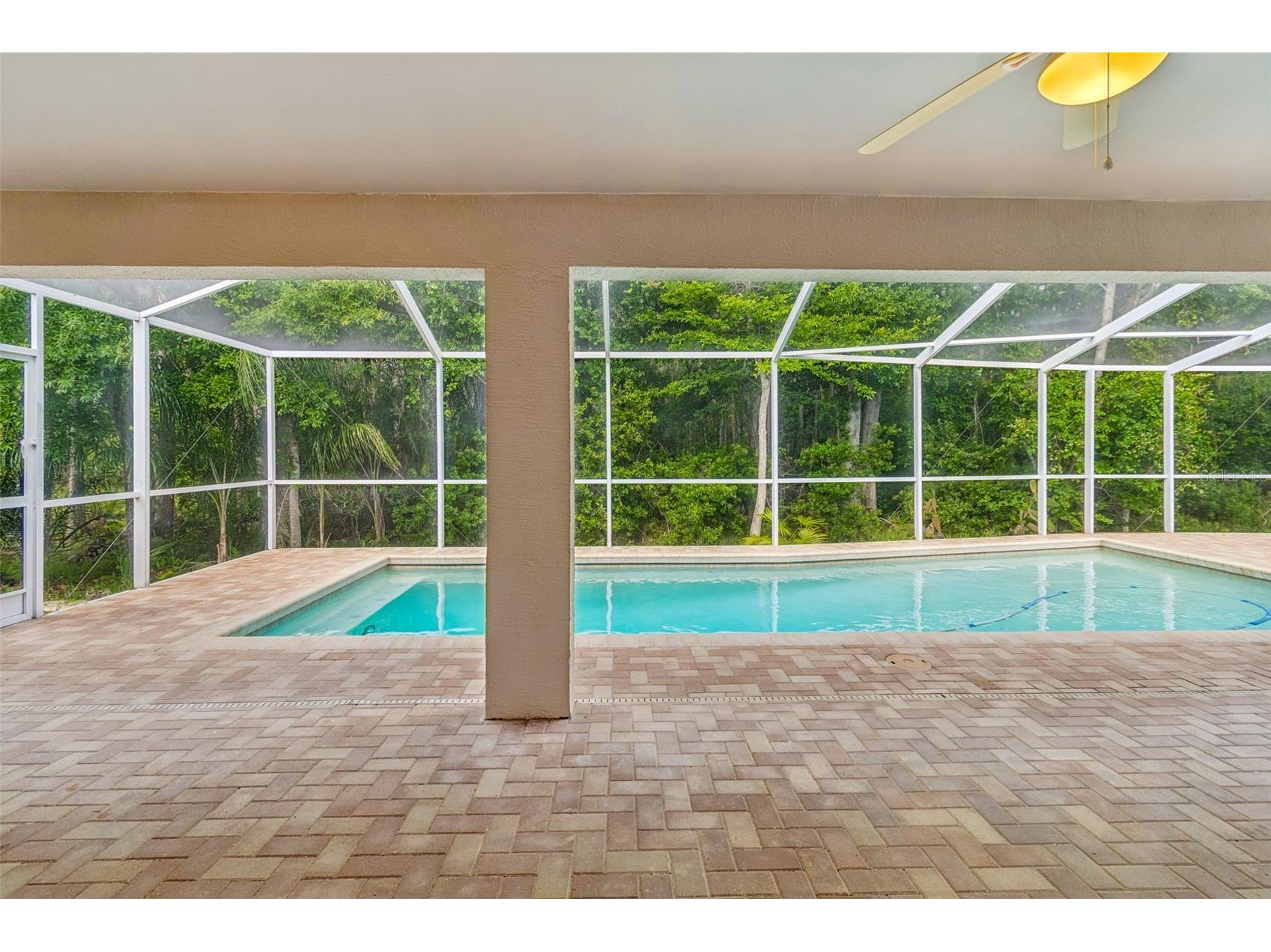 19004 Saint Laurent Drive Lutz FL 33558 TB8498605 image20