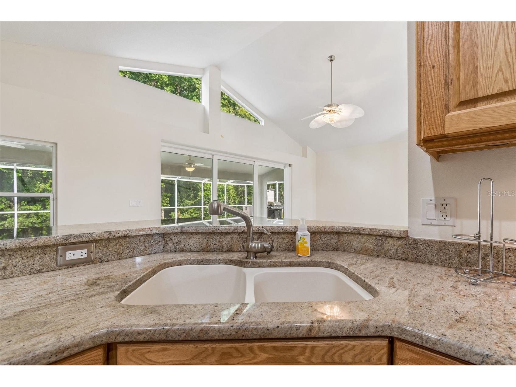 19004 Saint Laurent Drive Lutz FL 33558 TB8498605 image24