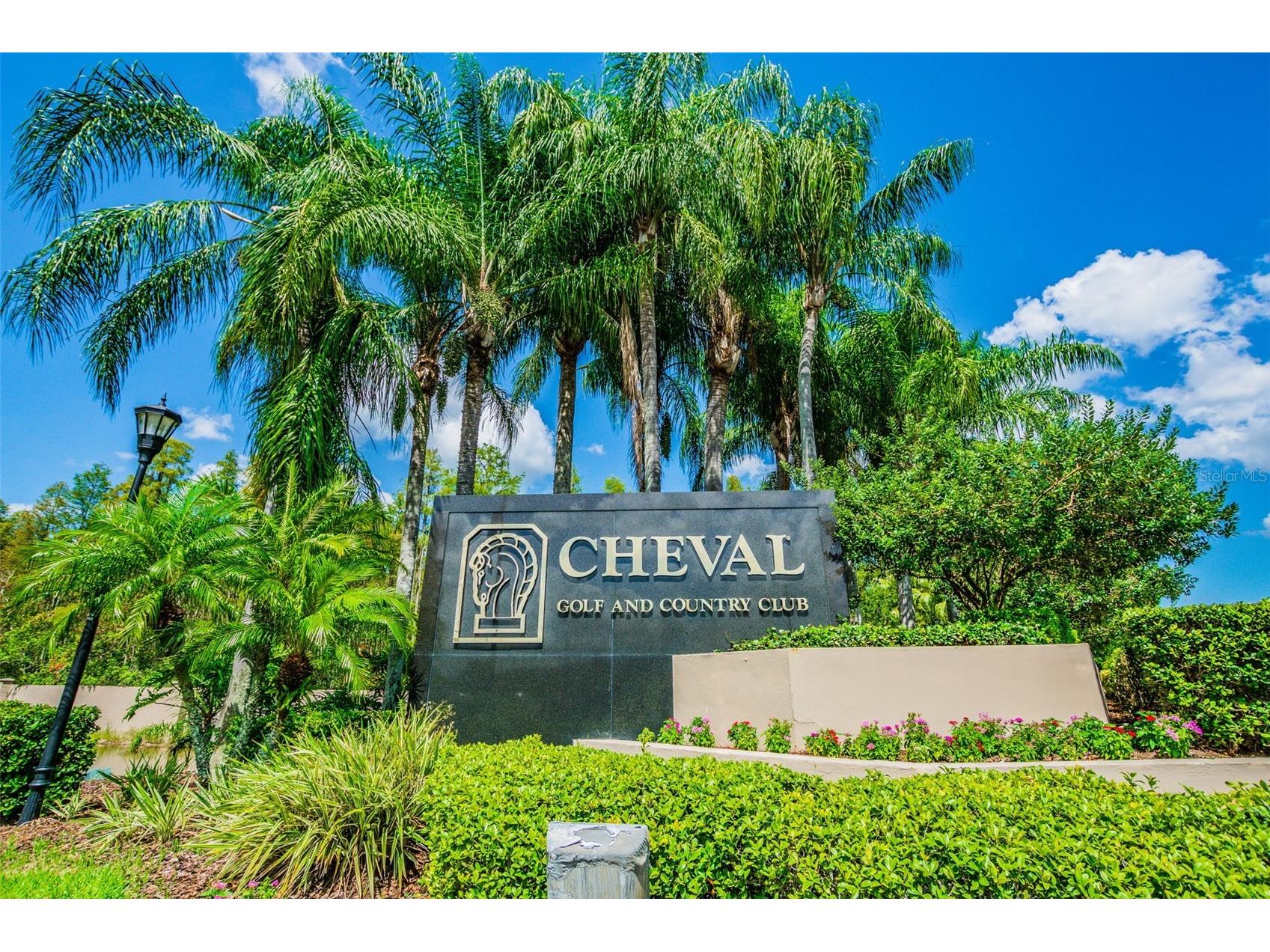 19004 Saint Laurent Drive Lutz FL 33558 TB8498605 image4