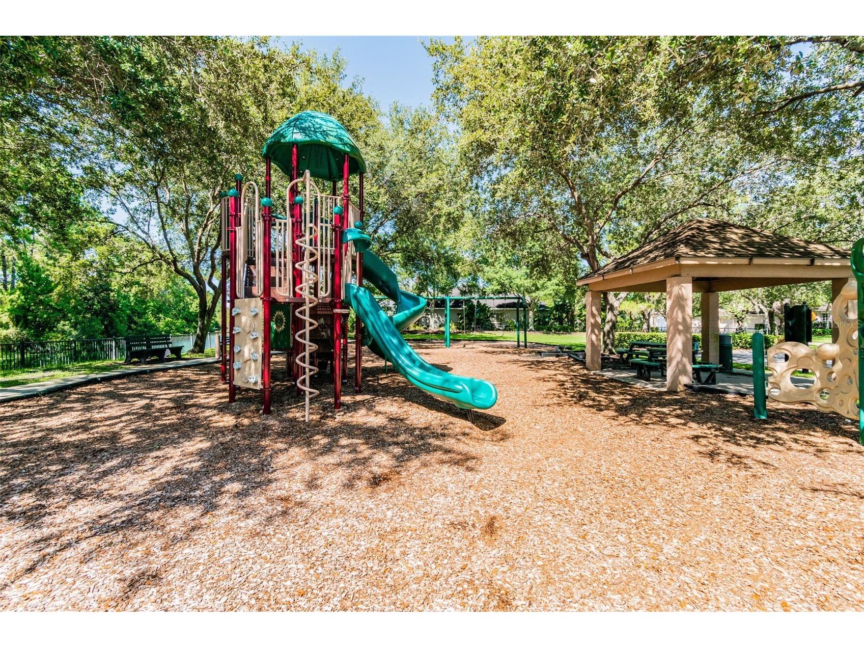 19004 Saint Laurent Drive Lutz FL 33558 TB8498605 image42