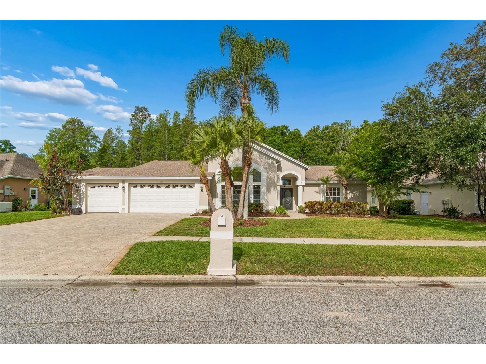 19004 Saint Laurent Drive Lutz FL 33558 TB8498605 image6