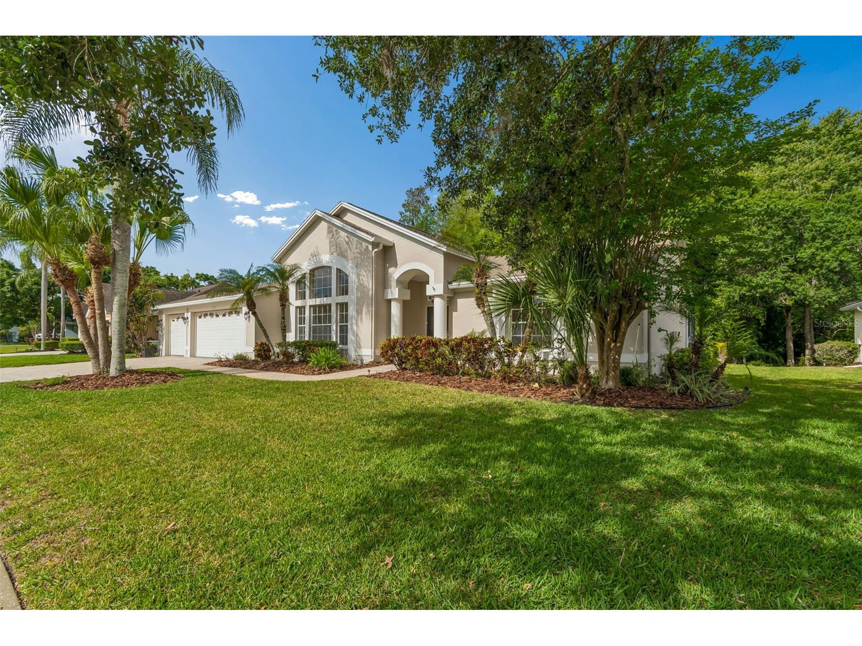 19004 Saint Laurent Drive Lutz FL 33558 TB8498605 image9