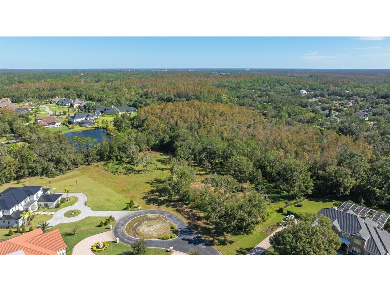 19005 Deer Point Place Odessa FL 33556 TB8314957 image1