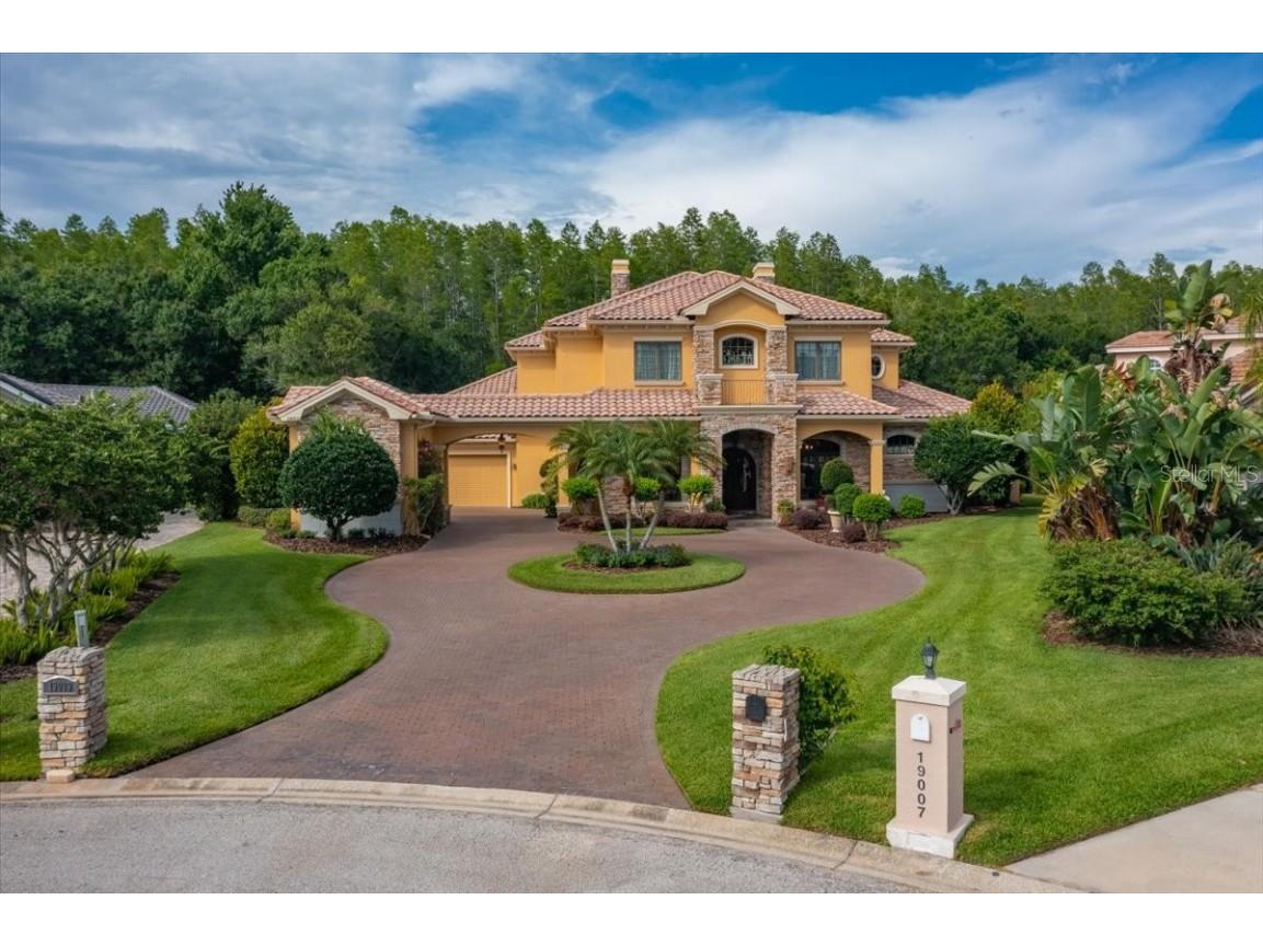 19009 Cour Estates Lutz FL 33558 T3423408 image1