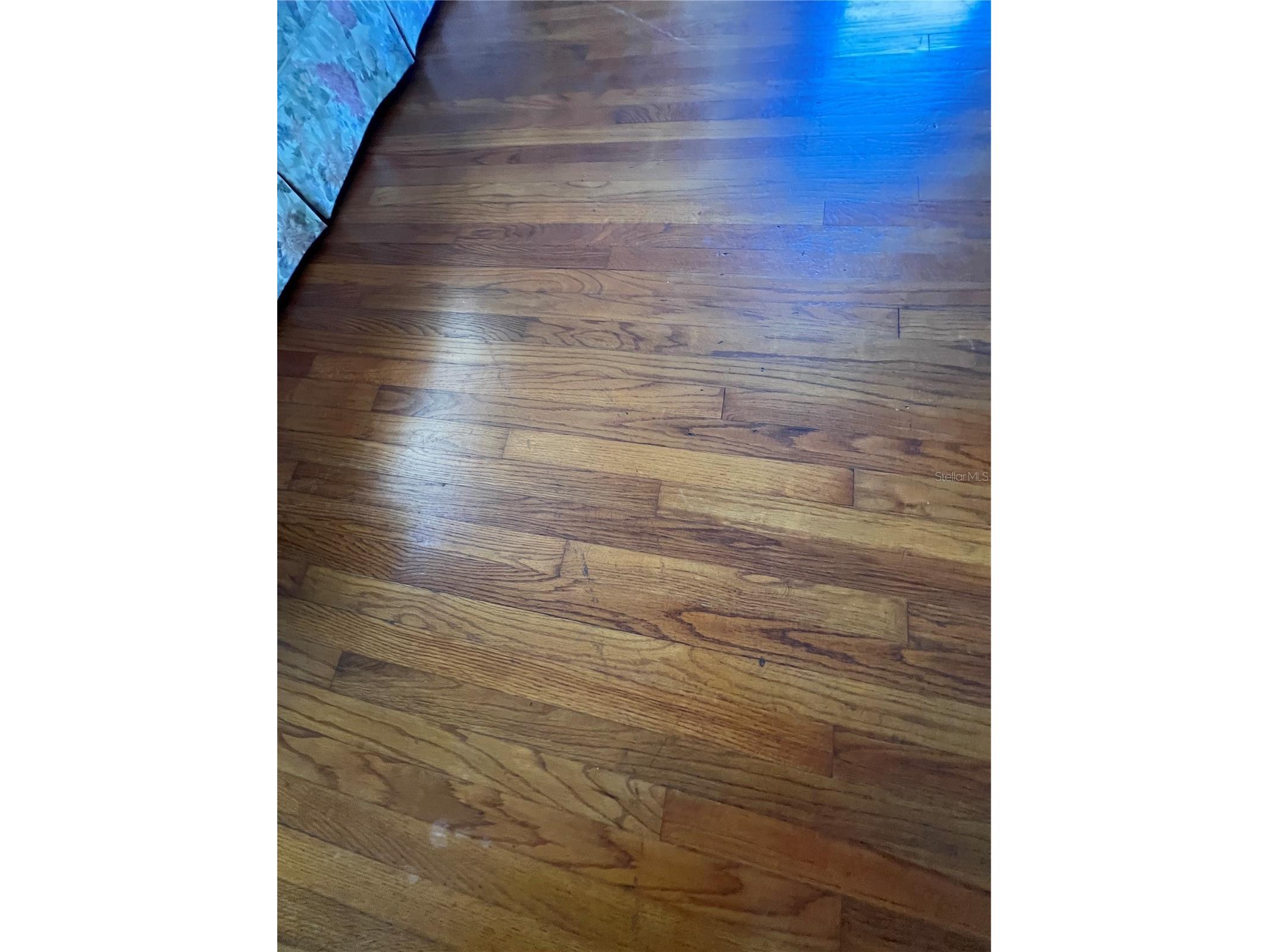 1901 53rd Street S Gulfport FL 33707 TB8496563 image19